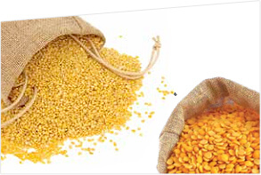 Dal / Pulses
